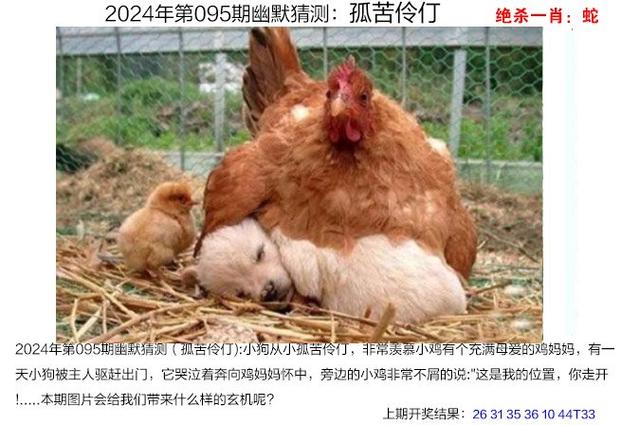 7777788888四肖四码管家婆和吃1碗面被罚3000元与吃一碗面