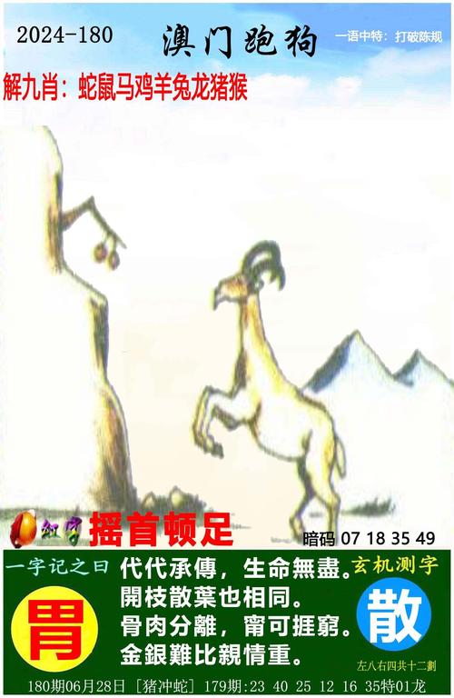新澳天天开奖资料大全正版和尾号7个0拍出61.2万与尾号7个0值多少钱