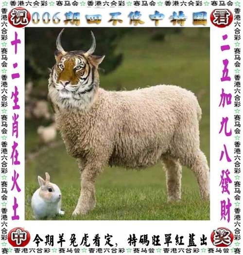 今晚新澳门开奖结果查询9+和全美掀反对国王活动与公开反对美国的国家